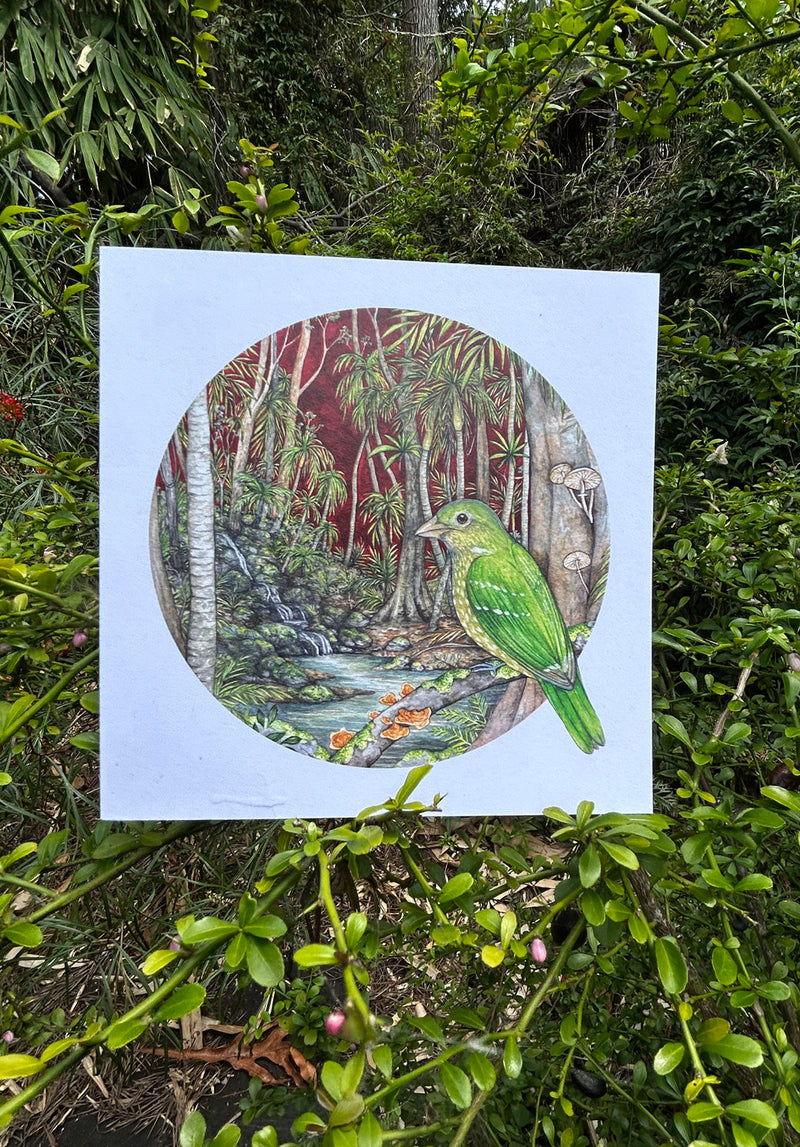 green catbird card, ingrid b art brisbane, australian made greeting cards, sustainable fashion