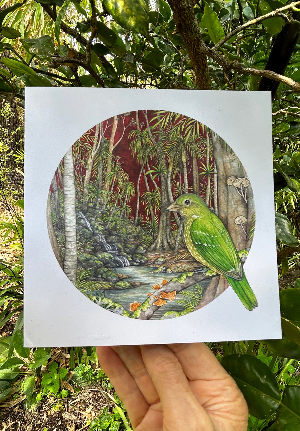 australian wildlife print, bird print cards, local australian artist, sustainable fashion x ingrid b art 