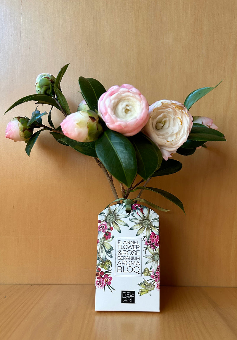 Flannel Flower and Rose Geranium - Aroma Bloq