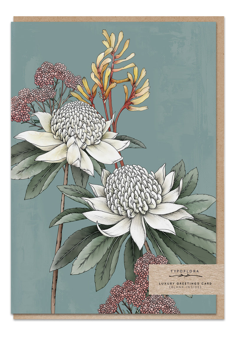 waratah portrait, TYPOFLORA, australian made greeting cards, floral print gifts