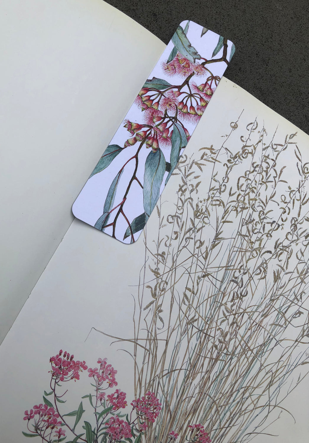 australian native botanical print, bookmarks australian made boutique