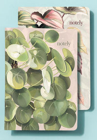 sustainable notebooks australia